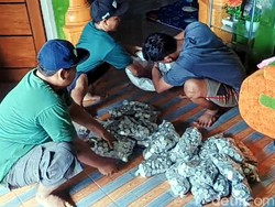 Butuh 8 Orang untuk Hitung 400 Kg Koin yang Ditabung Sadikin di Drum