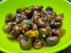 Hukum Makan Bekicot Menurut MUI Hukum Makan Bekicot Menurut MUI