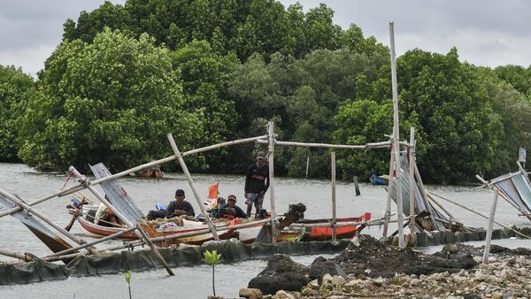 KLH Segel Pagar Laut di Pesisir Tarumajaya Bekasi