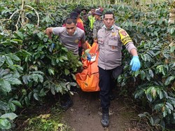 Fakta-fakta Mayat Wanita Ditemukan dalam Drum Terkubur di Kebun Kopi Aceh