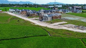 Menyusut 875 Ha Lahan Pertanian di Padang karena Alih Fungsi Jadi Perumahan