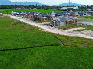 Menyusut 875 Ha Lahan Pertanian di Padang karena Alih Fungsi Jadi Perumahan