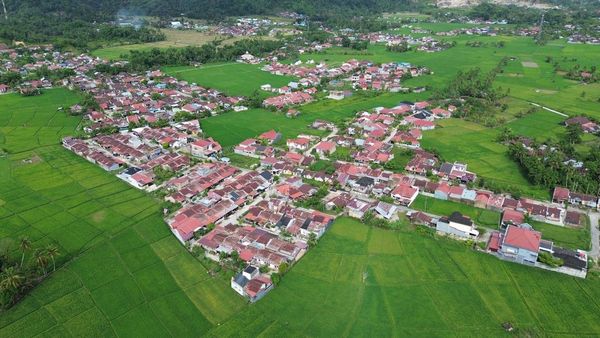 Lahan Pertanian di Padang Menyusut gegara Perumahan