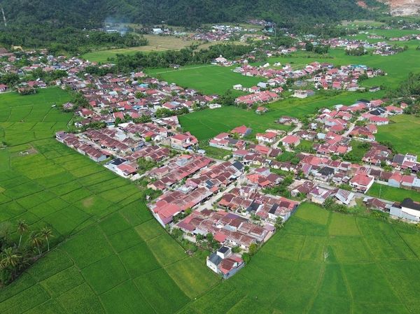 Lahan Pertanian di Padang Menyusut gegara Perumahan