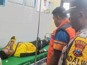 Pohon Tumbang Timpa Bentor-Biker, 4 Warga Bondowoso Luka Pohon Tumbang Timpa Bentor-Biker, 4 Warga Bondowoso Luka