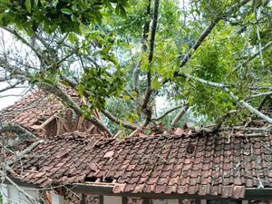 Pohon Beringin Timpa Dua Ruang Kelas SD Cianjur, 6 Siswa Terluka Pohon Beringin Timpa Dua Ruang Kelas SD Cianjur, 6 Siswa Terluka