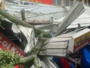 Pohon Tumbang Timpa Sejumlah Lapak PKL Alun-alun Kota Batu Pohon Tumbang Timpa Sejumlah Lapak PKL Alun-alun Kota Batu