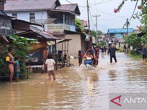 Banjir di Kalbar: Ribuan Warga Terdampak, 2 Anak Meninggal Banjir di Kalbar: Ribuan Warga Terdampak, 2 Anak Meninggal