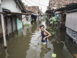 Banjir Setinggi Paha Rendam Permukiman di Pekalongan Banjir Setinggi Paha Rendam Permukiman di Pekalongan