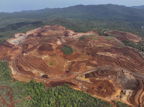 Hutan di Pulau Gag Gundul Imbas Tambang Nikel
