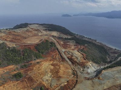 Begini Dampak Ngeri Tambang ke Ekosistem Laut
