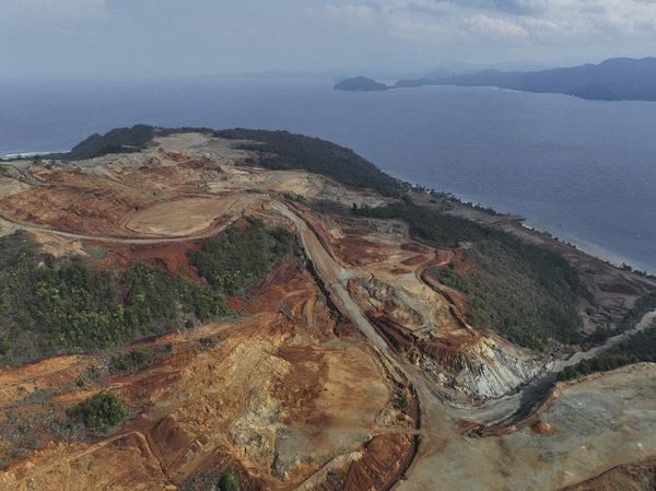 Begini Dampak Ngeri Tambang ke Ekosistem Laut