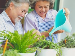 7 Hobi Sederhana yang Bikin Kamu Lebih Sehat dan Panjang Umur Menurut Studi