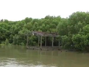 Beda DKP Sulsel dan BPN Maros soal 0,8 Ha Laut Bonto Bahari Tersertifikat SHM Beda DKP Sulsel dan BPN Maros soal 0,8 Ha Laut Bonto Bahari Tersertifikat SHM