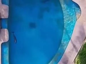 Lumba-lumba di Kolam Resor Mati Saat Pertunjukan, Kepala Membentur Lantai Beton Lumba-lumba di Kolam Resor Mati Saat Pertunjukan, Kepala Membentur Lantai Beton
