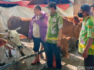 Pasar Hewan Pasuruan Buka Kembali Usai 2 Pekan Tutup Pasar Hewan Pasuruan Buka Kembali Usai 2 Pekan Tutup