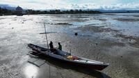 Potret Pendangkalan Laut di Pantai Madra Kolaka