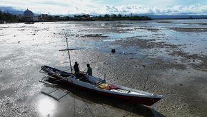 Potret Pendangkalan Laut di Pantai Madra Kolaka