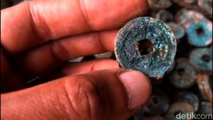 Potret 5.000 Keping Koin Kuno Ditemukan Petani di Lereng Bromo