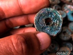 Potret 5.000 Keping Koin Kuno Ditemukan Petani di Lereng Bromo