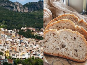 Rahasia Panjang Umur Penduduk Pulau Sardinia karena 2 Makanan Ini Rahasia Panjang Umur Penduduk Pulau Sardinia karena 2 Makanan Ini