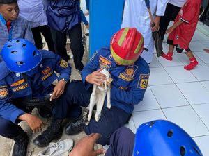 Leher Kucing di Bogor Terborgol Siswa saat Bercanda, Guru Lapor Damkar