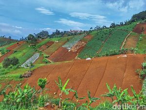 Krisis Lahan Kritis di Bandung Utara Krisis Lahan Kritis di Bandung Utara