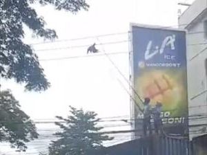 Pria di Makassar Kesetrum Saat Evakuasi Burung Tersangkut di Kabel Listrik Pria di Makassar Kesetrum Saat Evakuasi Burung Tersangkut di Kabel Listrik