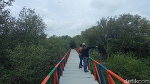 Sejuk dan Menenangkan, Wisata Mangrove di Cirebon