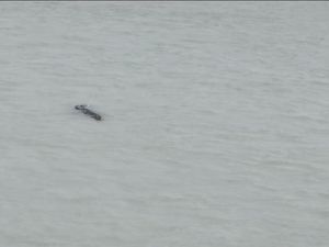 Detik-detik Tubuh Tina Diterkam hingga Jasadnya 2 Hari di Mulut Buaya