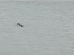 Detik-detik Tubuh Tina Diterkam hingga Jasadnya 2 Hari di Mulut Buaya