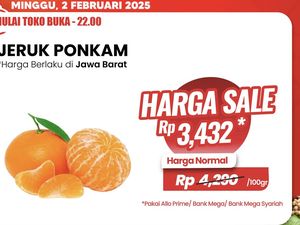 Jeruk Ponkam Diskon Gede-gedean di Transmart Full Day Sale Jeruk Ponkam Diskon Gede-gedean di Transmart Full Day Sale