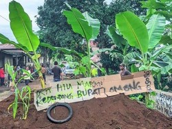 Warga Tanam Pisang dan Jagung di Jalan Setelah 25 Tahun Jalan Tak Diperbaiki