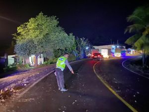 Bus Tabrakan dengan Truk di Jalan Denpasar-Gilimanuk, 3 Orang Luka-luka