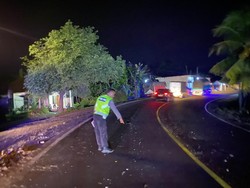 Bus Tabrakan dengan Truk di Jalan Denpasar-Gilimanuk, 3 Orang Luka-luka