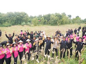 Program Ketahanan Pangan Polda Jateng, Panen Jagung Kuartal I Naik 33% Program Ketahanan Pangan Polda Jateng, Panen Jagung Kuartal I Naik 33%