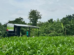 Desa di Hulu Bali Ini Disulap Jadi Sentra Energi Surya & Wisata Hutan Desa di Hulu Bali Ini Disulap Jadi Sentra Energi Surya & Wisata Hutan