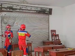 Damkar Jaktim Evakuasi 2 Ekor Musang yang Bikin Heboh Ruang Kelas SMA