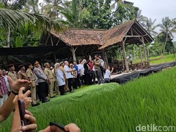 Soal Usulan Menteri Naik Transportasi Umum, Zulhas: Saya Biasa Jalan Kaki