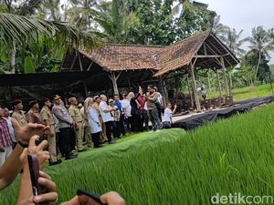 Soal Usulan Menteri Naik Transportasi Umum, Zulhas: Saya Biasa Jalan Kaki Soal Usulan Menteri Naik Transportasi Umum, Zulhas: Saya Biasa Jalan Kaki