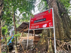 Usai Ditertibkan, Pedagang Merangsek ke Cagar Alam Sukawayana