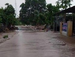 Walhi Sebut Alih Fungsi Hutan Jadi Kebun Jagung Biang Kerok Banjir di Bima