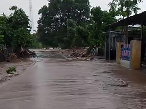 Walhi Sebut Alih Fungsi Hutan Jadi Kebun Jagung Biang Kerok Banjir di Bima Walhi Sebut Alih Fungsi Hutan Jadi Kebun Jagung Biang Kerok Banjir di Bima