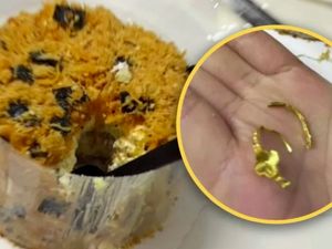 Duh! Pria Lamar Kekasih Nyaris Gagal Gegera Cincin Nyaris Termakan Duh! Pria Lamar Kekasih Nyaris Gagal Gegera Cincin Nyaris Termakan