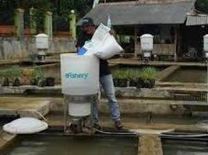 eFishery Libatkan Pihak Independen Sebagai Management Sementara eFishery Libatkan Pihak Independen Sebagai Management Sementara