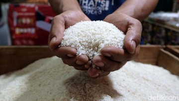 Kementan Bongkar Mafia Beras: Konsumen Merugi Puluhan Triliun!