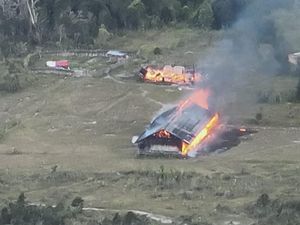 2 Kubu KKB di Puncak Bentrok gegara Perselingkuhan, 4 Kantor-SD Dibakar 2 Kubu KKB di Puncak Bentrok gegara Perselingkuhan, 4 Kantor-SD Dibakar