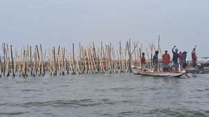 Penampakan Pagar Laut Bekasi 581 Hektare!