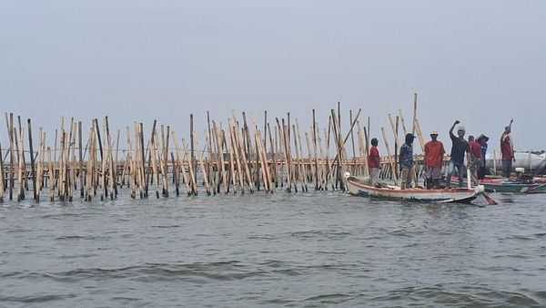 Penampakan Pagar Laut Bekasi 581 Hektare!