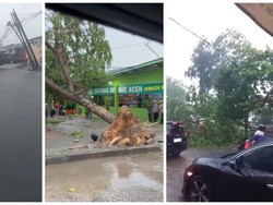 Puluhan Pohon di Lampung Tumbang-Timpa Kendaraan Usai Diterjang Angin Kencang